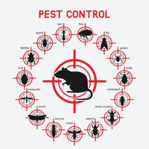 How Long Pest Control Lasts