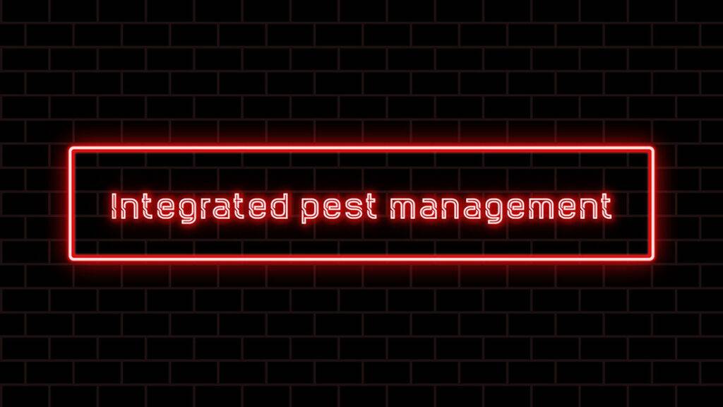 2024-07-–-Eastern-Burkholder-Exterminators-BLOGMR3.1-Integrated-Pest-Management-IPM