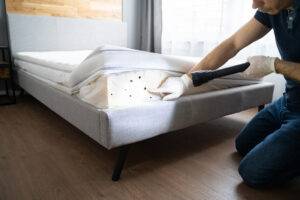 2024-12-–-Eastern-Burkholder-Exterminators-BLOGMR3.6-How-to-Prevent-and-Treat-Bed-Bugs-in-Ohio.j