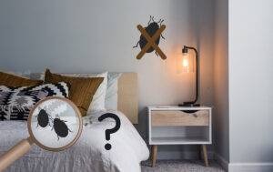 The Shocking Truth About Bed Bugs