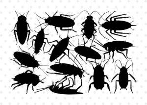 Don’t Let Roaches Take Over