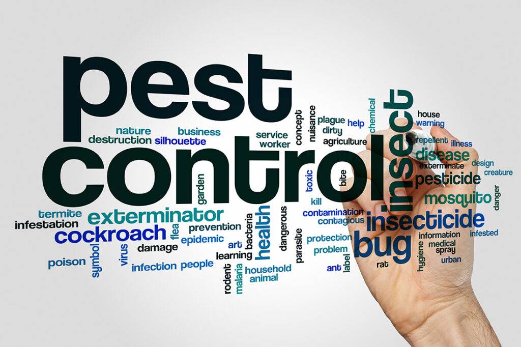 When to Call or Text a Pest Control Expert