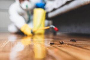 Monthly Pest Control is Worth Every Penny