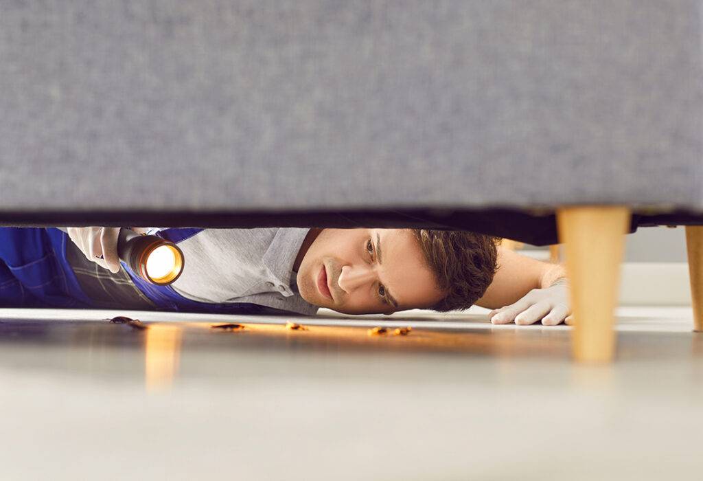 Signs You Have a Hidden Pest Problem