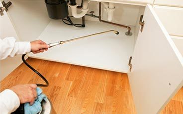 exterminator exterminator